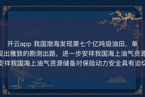 开云app 我国渤海发现第七个亿吨级油田,单井日产原油约370吨展现出雅致的勘测出路,进一步安祥我国海上油气资源储备对保险动力安全具有迫切兴致