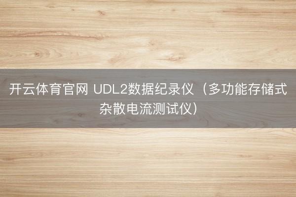 开云体育官网 UDL2数据纪录仪（多功能存储式杂散电流测试仪）