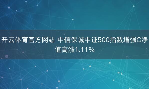 开云体育官方网站 中信保诚中证500指数增强C净值高涨1.11%