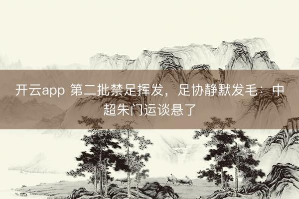 开云app 第二批禁足挥发,足协静默发毛:中超朱门运谈悬了