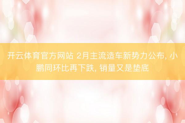 开云体育官方网站 2月主流造车新势力公布， 小鹏同环比再下跌， 销量又是垫底