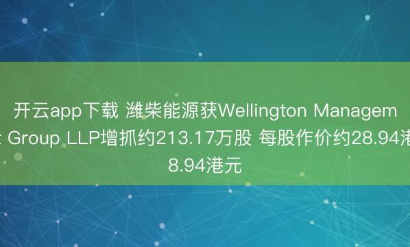 开云app下载 潍柴能源获Wellington Management Group LLP增抓约213.17万股 每股作价约28.94港元