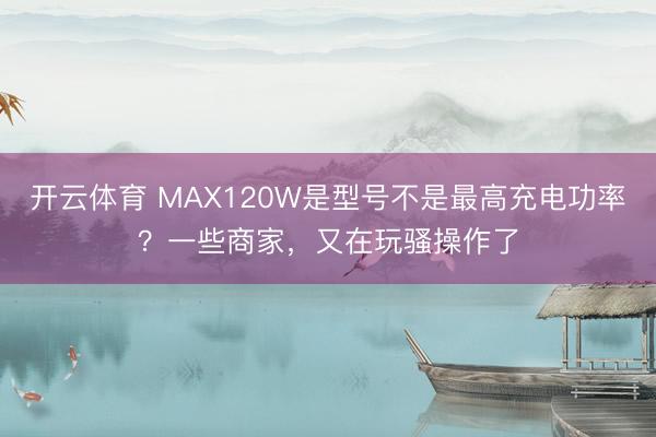 开云体育 MAX120W是型号不是最高充电功率?一些商家,又在玩骚操作了