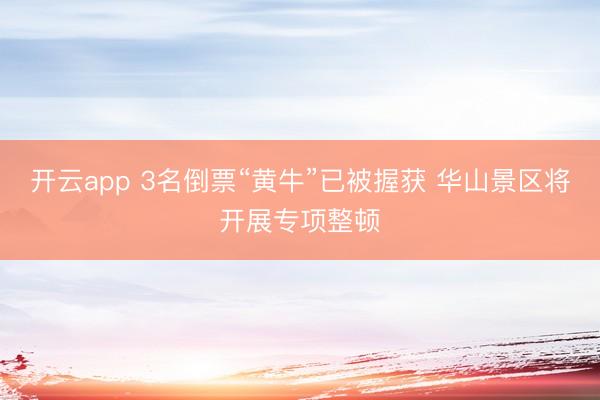 开云app 3名倒票“黄牛”已被握获 华山景区将开展专项整顿
