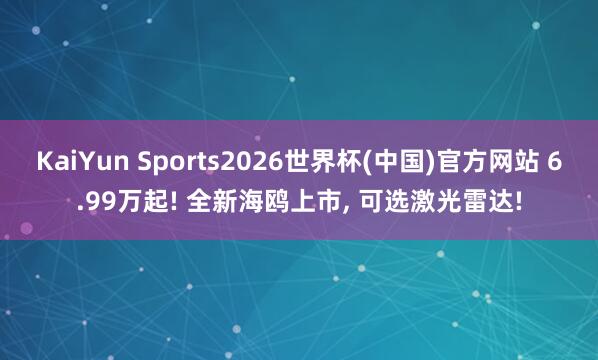 KaiYun Sports2026世界杯(中国)官方网站 6.99万起! 全新海鸥上市, 可选激光雷达!