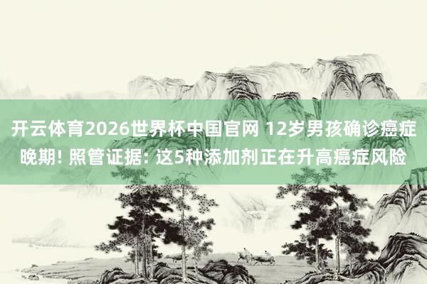 开云体育2026世界杯中国官网 12岁男孩确诊癌症晚期! 照管证据: 这5种添加剂正在升高癌症风险