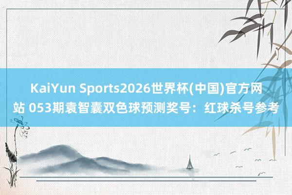 KaiYun Sports2026世界杯(中国)官方网站 053期袁智囊双色球预测奖号:红球杀号参考