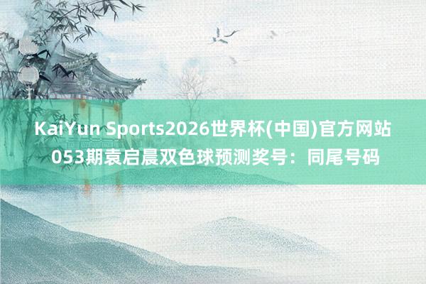 KaiYun Sports2026世界杯(中国)官方网站 053期袁启晨双色球预测奖号：同尾号码