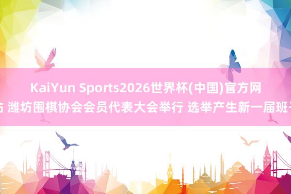 KaiYun Sports2026世界杯(中国)官方网站 潍坊围棋协会会员代表大会举行 选举产生新一届班子