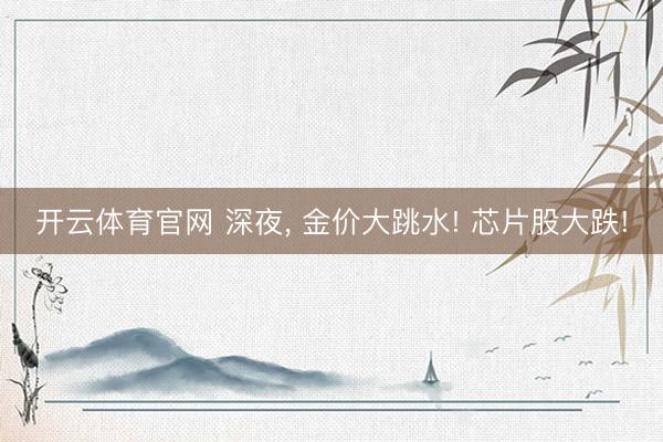 开云体育官网 深夜, 金价大跳水! 芯片股大跌!