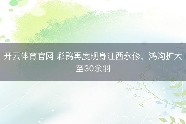 开云体育官网 彩鹮再度现身江西永修，鸿沟扩大至30余羽