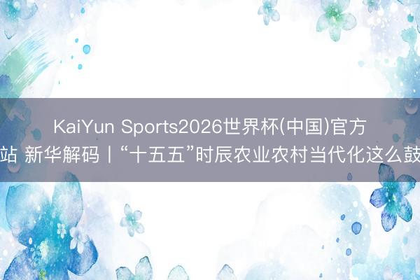 KaiYun Sports2026世界杯(中国)官方网站 新华解码丨“十五五”时辰农业农村当代化这么鼓吹