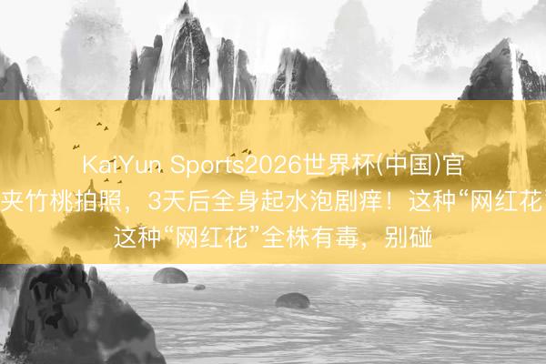 KaiYun Sports2026世界杯(中国)官方网站 女生嘴含夹竹桃拍照，3天后全身起水泡剧痒！这种“网红花”全株有毒，别碰