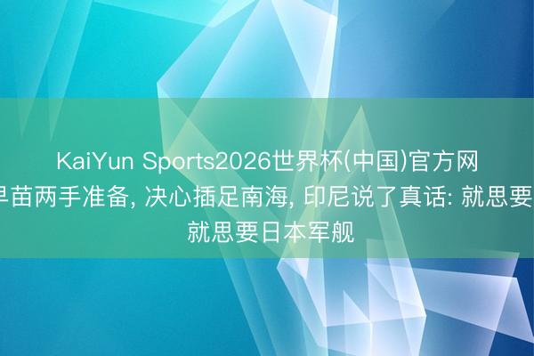 KaiYun Sports2026世界杯(中国)官方网站 高市早苗两手准备， 决心插足南海， 印尼说了真话: 就思要日本军舰