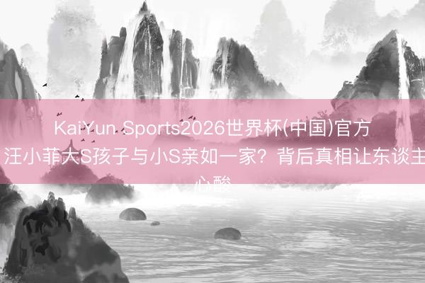 KaiYun Sports2026世界杯(中国)官方网站 汪小菲大S孩子与小S亲如一家？背后真相让东谈主心酸