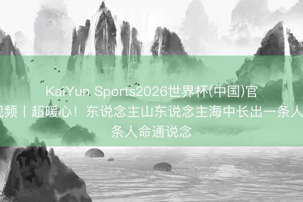 KaiYun Sports2026世界杯(中国)官方网站 视频丨超暖心!东说念主山东说念主海中长出一条人命通说念