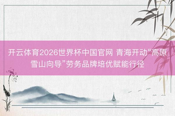 开云体育2026世界杯中国官网 青海开动“高原雪山向导”劳务品牌培优赋能行径
