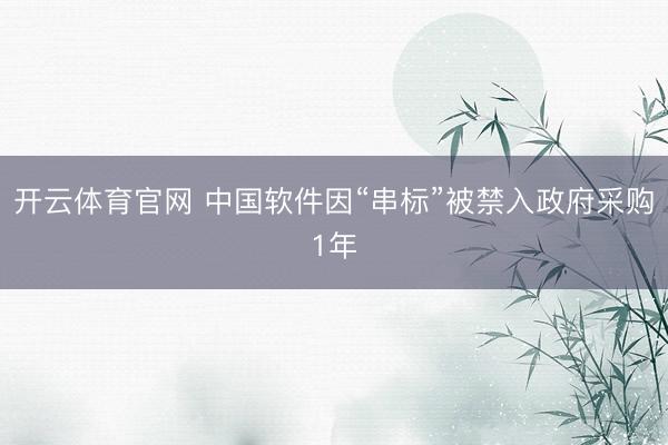 开云体育官网 中国软件因“串标”被禁入政府采购1年