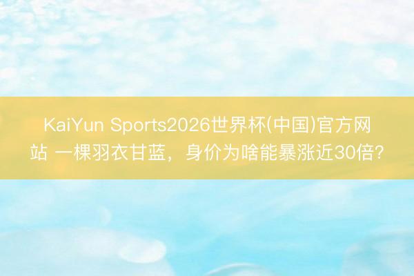 KaiYun Sports2026世界杯(中国)官方网站 一棵羽衣甘蓝，身价为啥能暴涨近30倍？